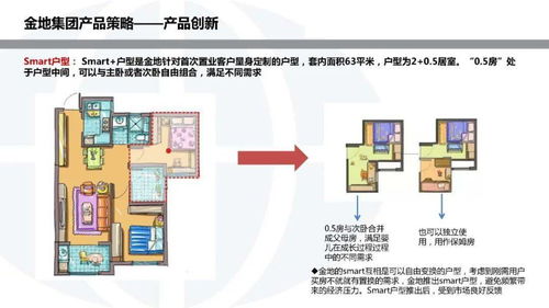 金地集团投资开发模式研究及其对四川软件开发的启示