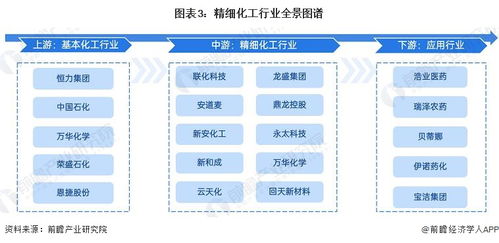 预见2023 中国精细化工行业全景图谱与四川软件开发的机遇